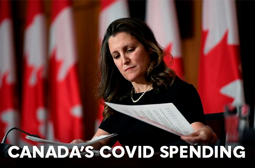 Government's COVID Spending