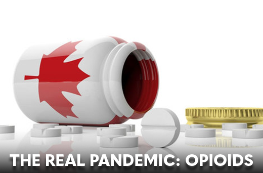The Real Pandemic: Opioids